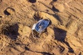 Abandoned used face mask on the beach with outdoor sun lighting Royalty Free Stock Photo