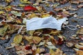 A face mask lies on autumn leaves on the ground