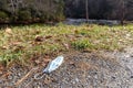 Face Mask litter in outdoor nature area Royalty Free Stock Photo