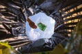 Face mask pack in zip lock before throw into the trash. With a worm view from the inside of the trash bin. Royalty Free Stock Photo