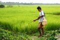 A farmer working his field