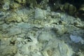 Face masks and plastic debris on bottom in Red Sea. Coronavirus COVID-19 is contributing to pollution, as discarded used masks