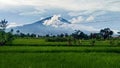 face of Mount Pangrango Royalty Free Stock Photo