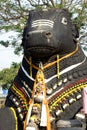 Face of Nandi at Chamundi Hills