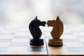 Chess pieces knights facing each other for a standoff on chessboard with blue background. Chess knights confronting each Royalty Free Stock Photo
