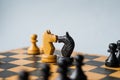 Face Off. Chess pieces knights facing each other for a standoff on chessboard with blue background. Royalty Free Stock Photo