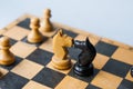 Face Off. Chess pieces knights facing each other for a standoff on chessboard with blue background. Chess knights confronting each Royalty Free Stock Photo