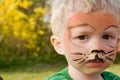 Face paint tiger boy child