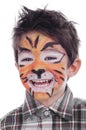 Face painting of tiger