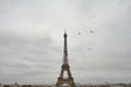 A Face of Paris. Eiffel tower. Birds.