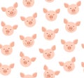 Funny piglets, seamless pattern, white, vector.
