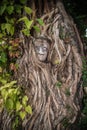 The face of a plaster statue is covered by tree roots in Savannakhet Province