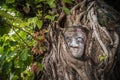 The face of a plaster statue is covered by tree roots in Savannakhet Province