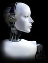 3D rendering of female robot head.