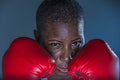 Face portrait of young angry and defiant black afro American sport woman in boxing gloves training and posing as a dangerous figh Royalty Free Stock Photo