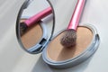 Face powder and makeup brush