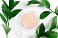 Face powder in round case top view on green leaf background. Fashion cosmetic, natural makeup product composition. Open compact