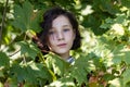 The face of a pretty teen girl among maple leave