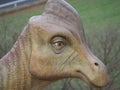 Profile of the face of a dinosaur in aren, huesca, spain, europe Royalty Free Stock Photo