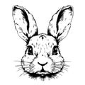 face rabbit portrait