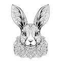 face rabbit portrait mandala