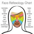 Face Reflexology Female Face Internal Organs Areas Chart