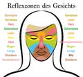 Face Reflexology German Female Face Inner Organs Areas Chart