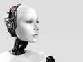 The face of a robot woman. Royalty Free Stock Photo