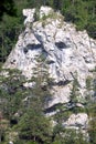 Tvár v skale