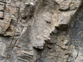 The face in the rocks - geologically interesting formation.