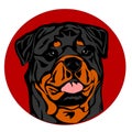 Face of rottweiler Royalty Free Stock Photo