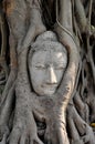 Face of Ruin image of Buddha