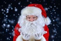 Face of santa Royalty Free Stock Photo