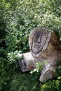 Face sculpted in wood Ferrieres-en-Brie Forest by Daniel Stinus