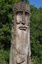 Face sculpted in wood Ferrieres-en-Brie Forest by Daniel Stinus