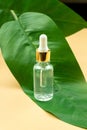 Face serum in a transparent glass bottle on a green leaf and beige background. treatment for skin with oils, vitamins and collagen