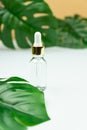 Face serum in a transparent glass bottle on a green leaf and beige background. treatment for skin with oils, vitamins and collagen