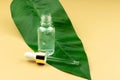 Face serum in a transparent glass bottle on a green leaf and beige background. treatment for skin with oils, vitamins and collagen Royalty Free Stock Photo