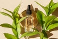 Transparent glass dropper bottle on a woodcut in the sunlight with ruscus flower in soft focus. Flat lay