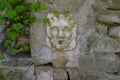 Face shaped fountain in the ancient rock wall close-up across the green plants Royalty Free Stock Photo