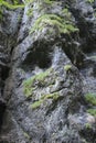 Face shaped mountain. Serrai di sottoguda Canyon, Veneto, Italy. Royalty Free Stock Photo