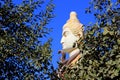 Face of Shiva behind Foliage Royalty Free Stock Photo