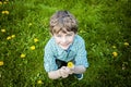 Face of smiling happy boy outside picking flowers Royalty Free Stock Photo