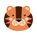 Cute tiger face in cartoon style. Safari character head for baby and kids design Royalty Free Stock Photo