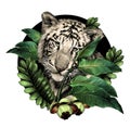 The face of a tiger in the leaves of tropical plants in the circle