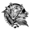 The face of a tiger in the leaves of tropical plants in the circle