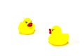 Face to face of yellow rubber duck toy on white background, conversation concept, isolated Royalty Free Stock Photo