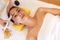 Face Treatment. Woman in Beauty Salon Gets Marine Mask Royalty Free Stock Photo