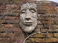 Face On A Wall Royalty Free Stock Photo