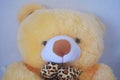 The face of the yellow teddy bear is very cute